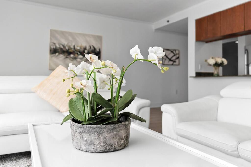 Modern 2/2 With Beautiful Ocean And Brickell Views Apartment Miami Ngoại thất bức ảnh